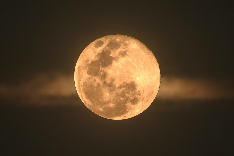 Worm Moon Gathering Van Cleave Aesthetics